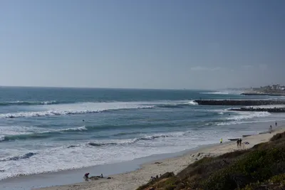 DSC_6915 (Large).JPG